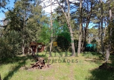 LOTE + CONSTRUCCION 